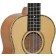 Freshman-UKLMAPLET-Lono-Series-Tenor-Ukulele-Englemann-Spruce-Flame-Maple-Body-Detail