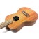 Freshman UKMAHC Mahogany Concert Ukulele