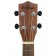 Freshman UKMAHC Mahogany Concert Ukulele