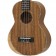 Freshman UKWALC Walnut Concert Ukulele Body