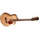 Freshman FA1AM12 Acoustic 12 String Guitar