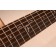 Freshman FA600GA Acoustic Guitar Fretboard