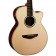 Faith FVHG3 Venus HiGloss Concert Cutaway Electro Acoustic Guitar Body
