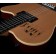 Godin-A6-Ultra-Natural-SG-Controls