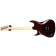 Godin Freeway SA Lightburst Back