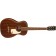 Gretsch Jim Dandy Parlour Frontier Stain