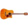 Guild D-120CE Westerly Dreadnought Acoustic Natural