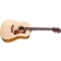 Guild D-240E Westerly Archback Limited Flamed Mahogany Front