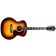 Guild F-512E Maple Antique Burst Front