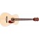Guild M-140 Westerly Natural