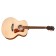 Guild F-240E Natural Front Angle