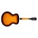 Guild F-250E Deluxe Antique Burst Back