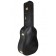 Guild GSR D-55 70th Anniversary Limited Case