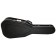 Hiscox AC Standard Acoustic Guitar Case Black Front