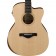 Ibanez-AC150CE-OPN-Artwood-Grand-Concert-Electro-Acoustic-Open-Pore-Natural-Body