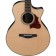 Ibanez-AE255BT-Baritone-Natural-Thumb