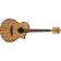 Ibanez AEW40ZW-NT Zebrawood Electro Acoustic Guitar