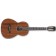 Ibanez AVN9-OPN Artwood Vintage Thermo Aged Parlour