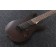 Ibanez RG7421-WNF 7 String Electric Guitar Walnut Flat Body