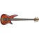 Ibanez-SR2405W-BTL-Premium-Brown-Topaz-Burst-Low-Gloss-Front