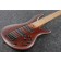 Ibanez-SR505E-BM-Brown-Mahogany-Body Angle