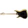 Ibanez JS2GD Joe Satriani Gold Back