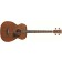 Ibanez PCBE12MH Acoustic Bass Guitar Mahogany Open Pore