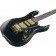 Ibanez PIA3761 Steve Vai Signature Onyx Black Body Angle