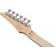 Ibanez PIA3761C-BLP Steve Vai Signature Guitar Blue Powder Headstock Back