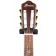 Ibanez TOD10N Tim Henson Signature Transparent Black Flat (B Stock)