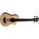 LAG TKB150CE Electro-Acoustic Bass Ukulele Front