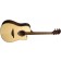 LAG THV20DCE Tramontane HyVibe 20-10-B