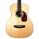 Larrivee OM-03 12-Fret Special Edition