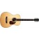 Larrivee OM-03 12-Fret Special Edition