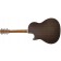 Larrivee C-03R TE Tommy Emmanuel Back