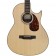 Larrivee C-03R TE Tommy Emmanuel Body