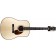 Larrivee D-24 Vintage Series