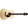 Larrivee OM-40 Walnut Alpine Moon Spruce Top Front