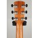 Larrivee P-09 Artist Series Parlour Headstock Back