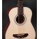 Michael Kelly Sojourn 4 Travel Acoustic Bass Body