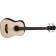 Michael Kelly Sojourn 4 Travel Acoustic Bass Guitar