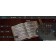 MOOER GTRS Intelligent Guitar App Sreenshot