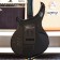 Music Man Majesty Hydrospace Body Back