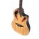 Ovation CE44P-SM-G Celebrity Elite Plus Spalted Maple
