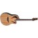 Ovation CE44P-SM-G Celebrity Elite Plus Spalted Maple