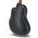 Ovation CE44P-FLE-G Celebrity Elite Plus Flamed Eucalyptus