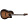 Ovation LTD CS24P-ABLKW Celebrity Traditional Australian Blackwood front