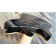 Peavey HP2 Tremolo Tigereye Body Back Angle