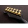 Reverend Limited Edition Pete Anderson Eastsider Custom Black / Gold Hardware