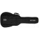 Ritter Arosa 335 Style Guitar Gig Bag Sea Ground Black